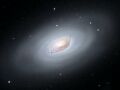M64